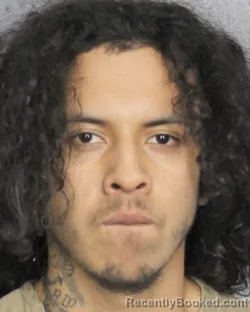 Booking photo from Broward County, Florida