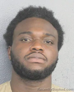 Mugshot of ELPHISLYN BIEN AIME