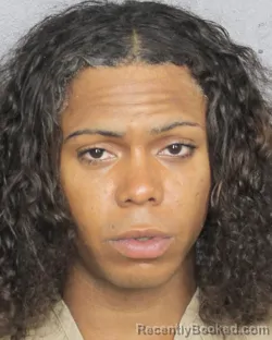 Mugshot of CHRISTOPHER LAMONT FORD