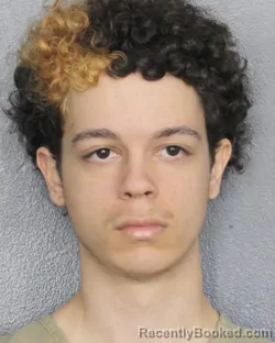 Mugshot of CRISTIAN JESUS LORES VELIZ
