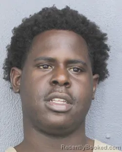 Mugshot of CARMELLO PEETE