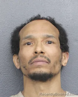 Mugshot of MICHAEL ANDERSON