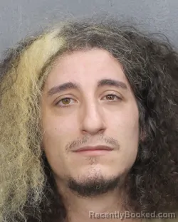 Mugshot of THEODRICK ROMEO FELIX NARDELLI