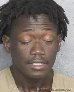 Mugshot of ADAMS VALERY LUDERS booked in Broward County, Florida on April 28, 2026