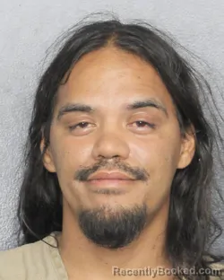 Mugshot of LYNG DANILO ORELLANA REYES booked in Broward County, Florida on May 17, 2026