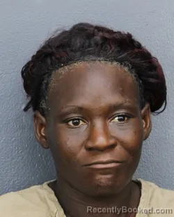 Mugshot of JAZMIN SIMONE NELSON HORNSBY booked in Broward County, Florida on June 15, 2026