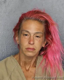 Mugshot of MELINDA FALLON VENTRE booked in Broward County, Florida on June 24, 2026