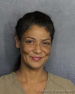 Mugshot of Kristyn Noelle Lewis booked in Broward County, Florida on July 12, 2026