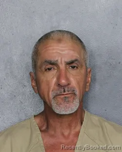Mugshot of Louis Seth Kaye booked in Broward County, Florida on July 29, 2026
