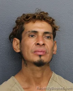 Mugshot of Jerlin Arana Garcia booked in Broward County, Florida on August 18, 2026