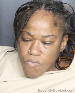 Mugshot of ERLANDE VALCOURT