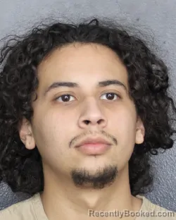 Mugshot of JOSE AMAURYS ESTRADA