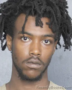 Mugshot of BRANDON HENRY