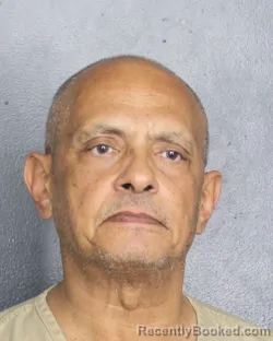 Mugshot of ADEL ABDELSALAM GAWISH booked in Broward County, Florida on May 29, 2026