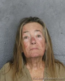 Mugshot of Karen Rose Mcenaney booked in Broward County, Florida on August 20, 2026