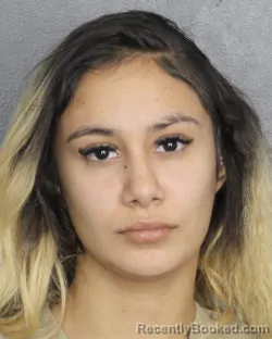 Booking photo from Broward County, Florida