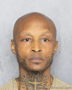 Mugshot of MARIE DIDIER FILS AIME