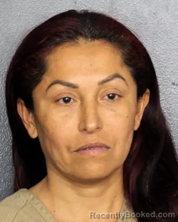 Mugshot of ELBA KARINA RAMIREZ PORTILLO booked in Broward County, Florida on March 13, 2026