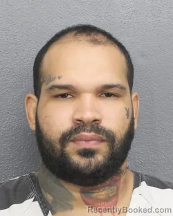 Mugshot of KELVIN ERNESTO RAMON METRANO booked in Broward County, Florida on May 12, 2026