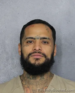 Mugshot of Edwin Luis Mir booked in Broward County, Florida on October 13, 2026
