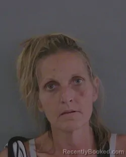 Mugshot of TARA SIOBHAN QUINLIVAN