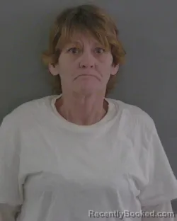 Mugshot of TERRI LYNN LEE