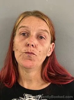 Mugshot of SHANNON LOUISE MOORE