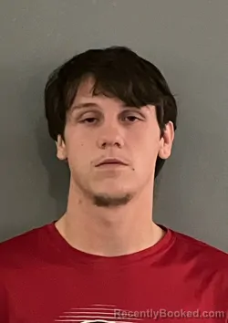 Mugshot of BRANDON ANTHONY MORRIS