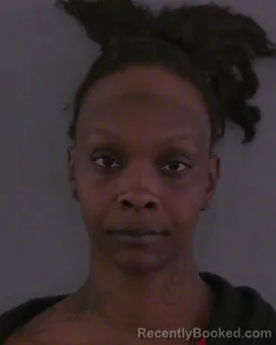Mugshot of SKYE BRE'ON GAINES