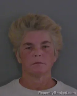 Mugshot of MARY LYNN KHATRI