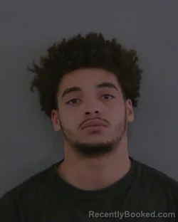 Mugshot of KEEGAN LANE HAMILTON