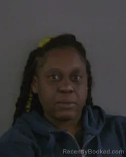 Mugshot of ASHLEY NICOLE HUNT