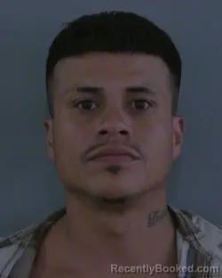 Mugshot of MARCO ANTONIO CAPETILLO booked in Sumter County, Florida on March 13, 2026