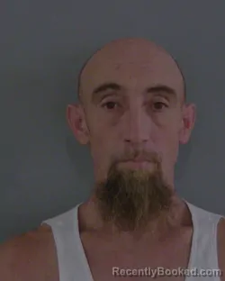 Mugshot of DANIEL ROBERT HANS