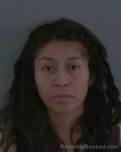 Mugshot of CRYSTAL ABAD booked in Sumter County, Florida on March 17, 2026