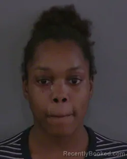 Mugshot of MIKAYLA MICHELLE WILLIAMS booked in Sumter County, Florida on March 25, 2026