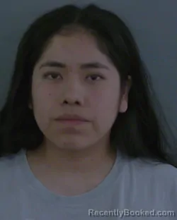 Mugshot of CARLA DIAZ booked in Sumter County, Florida on March 25, 2026