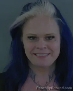 Mugshot of DEBORAH BEVERLY MEISEL booked in Sumter County, Florida on March 25, 2026