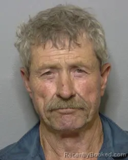 Mugshot of DAVID LAMAR LEWIS booked in Sumter County, Florida on March 26, 2026