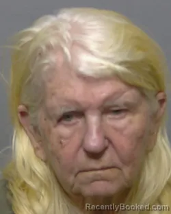 Mugshot of BEVERLY ANN FRANKLIN booked in Sumter County, Florida on March 27, 2026