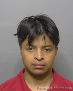 Mugshot of GERZON MOREL VAIL GOMEZ booked in Sumter County, Florida on March 28, 2026