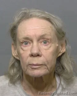 Mugshot of LINDA DIANE CLARK booked in Sumter County, Florida on April 3, 2026