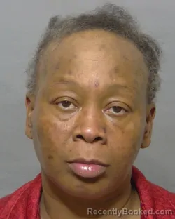 Mugshot of NAKITA SHAKITA YOUNG booked in Sumter County, Florida on April 4, 2026