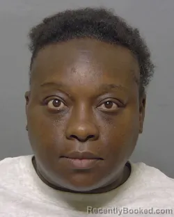 Mugshot of SISSY ANNIEALISHA THOMAS booked in Sumter County, Florida on April 8, 2026