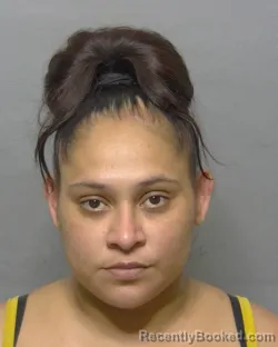 Mugshot of SANJUANA MARGARITA REYNA booked in Sumter County, Florida on April 8, 2026