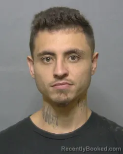 Mugshot of GABRIEL LYNN FARQUER booked in Sumter County, Florida on April 24, 2026