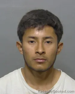 Mugshot of DEIVIN ORLANDO TINOCO CASTRO booked in Sumter County, Florida on April 28, 2026