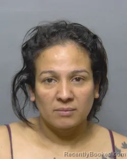 Mugshot of IRIS ARCELY FAJARDO SAGASTUME booked in Sumter County, Florida on April 29, 2026