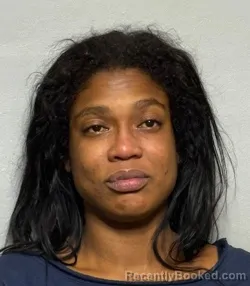 Mugshot of ARIANNA YENISEIS SALDANA VALDES booked in Sumter County, Florida on May 3, 2026