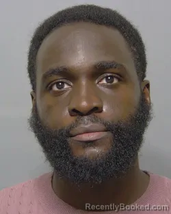 Mugshot of OBINNA KALU KALU booked in Sumter County, Florida on July 5, 2026